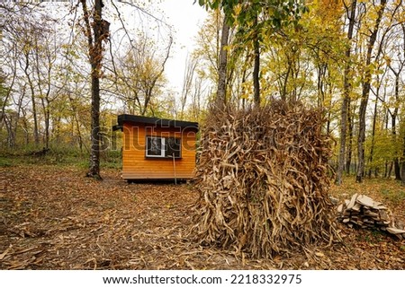 Forester's house in autumn forest with ear of corn. Royalty-Free Stock Photo #2218332975