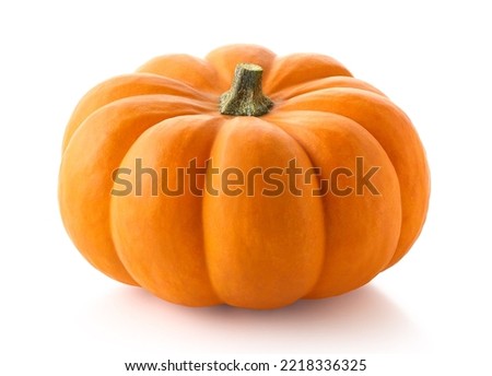 One fresh orange pumpkin isolated on white background. Halloween decoration