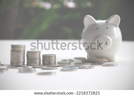 Save money investment and business finance , Money coin stack growing graph with piggy bank saving concept. Balance savings and investment for the future.
