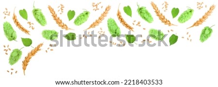hop cones with ears of wheat isolated on white background with copy space for your text. Top view. Flat lay pattern Royalty-Free Stock Photo #2218403533