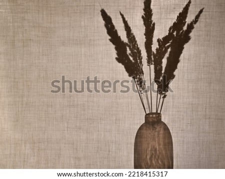 Abstract neutral background, minimalism. Dry herbs in a vase behind a cotton fabric. Shadows, silhouettes of plants on a beige background with copy space.
