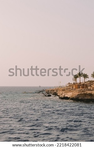 Vacation at the sea. Swim in the ocean. An uninhabited island. Palm tree. Horizon. Between heaven and earth. The stone shore. Bright and warm sun