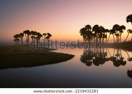 Sable palms silhouetted at sunrise on the Econlockhatchee River, a blackwater tributary of the St. Johns River, near Orlando, Florida Royalty-Free Stock Photo #2218432281