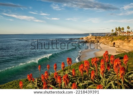 USA, California, La Jolla. Blooming aloe and Wipeout Beach Royalty-Free Stock Photo #2218439391