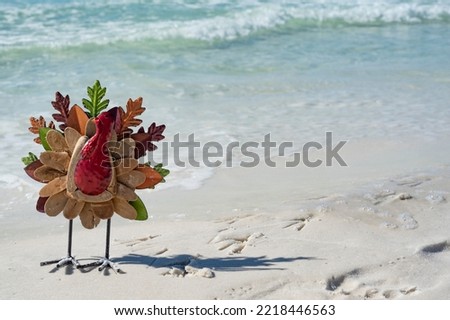 Thanksgiving Turkey enjoying a beach day on the Gulf coast of Florida white sands clear emerald waters 