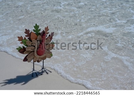Thanksgiving Turkey enjoying beach day on the Gulf coast of Florida white sands clear emerald waters 