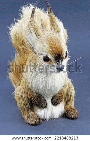 Cute lovable Squirrel close up - colourful and engaging wall art photo for decorating a child's nursery, playroom or bedroom.