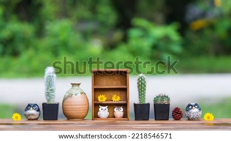 Beautiful  cactus ,wooden  shelf   and  simulated  owls  on  wood  table  with  nature  blurry  background .