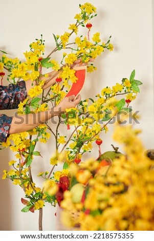 Woman decorating blooming apricot tree at home for Chinese New Year Royalty-Free Stock Photo #2218575355