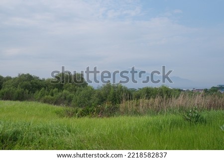 greenery meadows and forests with mountains behind them and clear blue skies