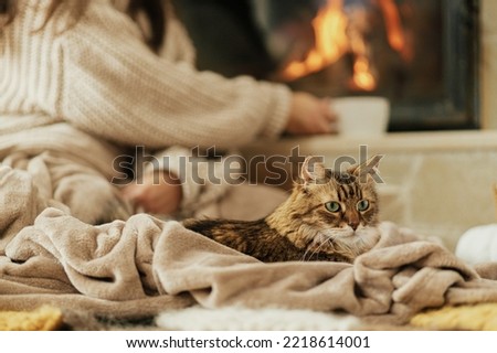Cute cat lying on cozy blanket at fireplace close up, autumn hygge. Adorable tabby kitty relaxing at fireplace on background of owner in warm sweater with cup of tea in rustic farmhouse.