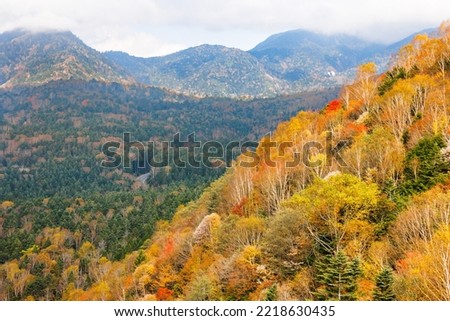 Mountain scenery with autumn leaves seen from Mt. Nikko-Shirane
Nikko-Shirane is one of Japan's 100 famous mountains Royalty-Free Stock Photo #2218630435