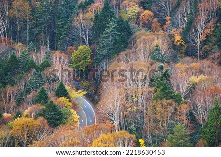Mountain scenery with autumn leaves seen from Mt. Nikko-Shirane
Nikko-Shirane is one of Japan's 100 famous mountains Royalty-Free Stock Photo #2218630453