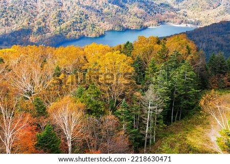 Mountain scenery with autumn leaves seen from Mt. Nikko-Shirane
Nikko-Shirane is one of Japan's 100 famous mountains Royalty-Free Stock Photo #2218630471