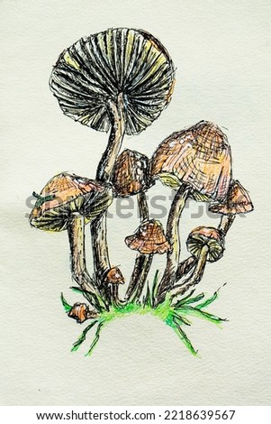 An illustration with wild mushrooms drawn by hand with colored pencils, isolated on a white background. Mushrooms drawn with pencils. Isolated on a white background. A hand-drawn sketch.