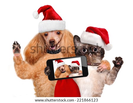 Cat and dog in red Christmas hats taking a selfie together with a smartphone