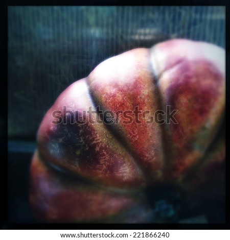 Instagram filter image of a pumpkin, detail shot