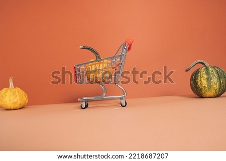Shopping cart with pumpkin on orange background. Minimal colorful autumn concept. Creative fall idea perfect design for thanksgiving. Shopping colorful nature fall season.
