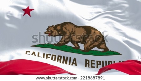 Close-up view of the California State flag waving in the wind. California is a federated state of the US located in the South West Coast. Fabric textured background. Selective focus