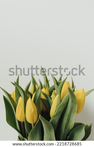 Yellow tulip flowers bouquet on white background. Minimalist elegant aesthetic floral composition