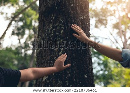 Hands of women and small child touching old trees on huge tree trunks. Love and protect nature concept. Green eco-friendly lifestyle. protect from deforestation and pollution or climate change Royalty-Free Stock Photo #2218736461