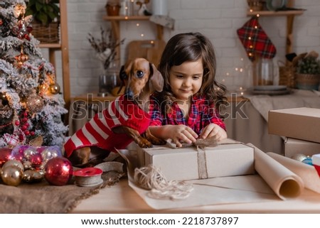 little girl with a dachshund dog in Christmas costumes pack gifts in craft paper. winter, new year. High quality photo