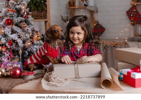 little girl with a dachshund dog in Christmas costumes pack gifts in craft paper. winter, new year. High quality photo