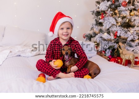 happy little boy in pajamas and Santa hat with dog at home in bed eating tangerines for Christmas. High quality photo