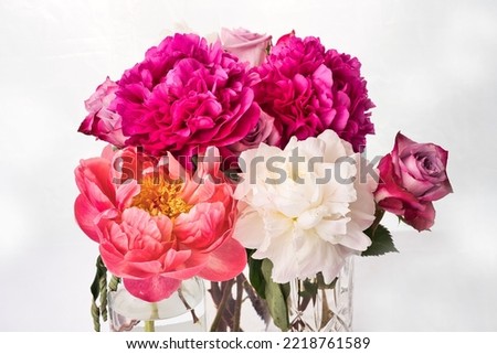 A closeup of colorful peonies isolated on the white background 