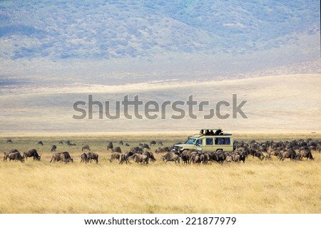 Safari tourists on game drive in Ngorongoro Royalty-Free Stock Photo #221877979