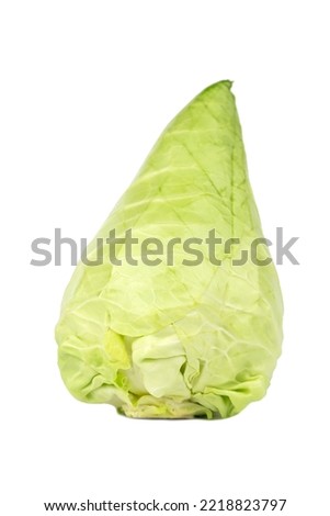 the Conehead cabbage (Cone cabbage, Conical cabbage) Royalty-Free Stock Photo #2218823797
