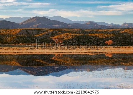 Distant mountains reflecting in pond, Chupadera Wilderness Area, Bosque del Apache National Wildlife Refuge, New Mexico Royalty-Free Stock Photo #2218842975