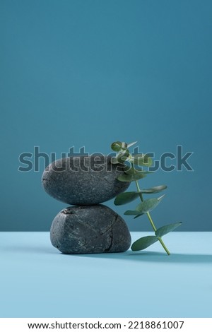Gray stones sprig of eucalyptus on a blue background. Background for cosmetics. Still life