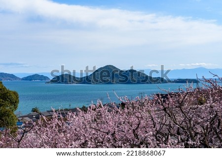 Tajiri-cho, Fukuyama City, Hiroshima Prefecture, Apricot Blossoms and Seto Inland Sea Scenery  Royalty-Free Stock Photo #2218868067