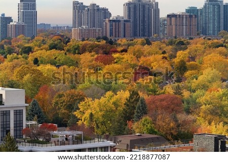Medium and high rise buildings bookend a swath of trees displaying vibrant, warm autumn foliage in late October. Foreground condo rooftop gardens. Evening.