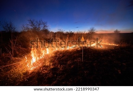 Burning dry grass and poison toxic sign at night. Triangle with skull and crossbones sign warning about poisonous substances and danger in field with fire. Ecology, hazard, natural disaster concept.
