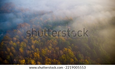 autunm fog above the forest