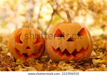 Halloween pumpkins in autumn forest