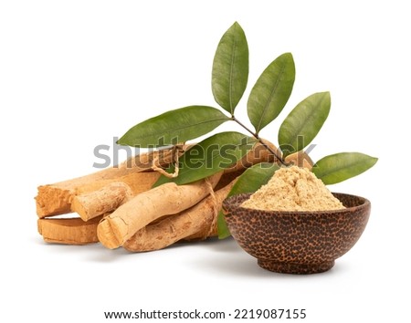 Eurycoma longifolia Jack,dried roots,green leaves and powder isolated on white background with clipping path. Royalty-Free Stock Photo #2219087155