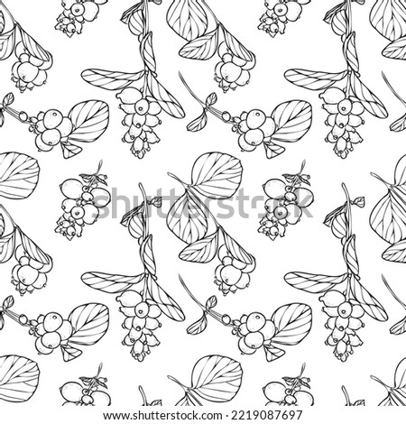 Snowberry or Symphoricarpos pattern. Branch with berries and leaves background. Hand drawn vector illustration.