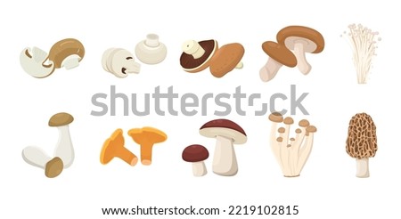Flat vector of cute bright colors of mushroom vector icon collections. Illustration isolated on white background  Royalty-Free Stock Photo #2219102815