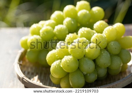 Grapes on a basket (Shine Muscat) Royalty-Free Stock Photo #2219109703
