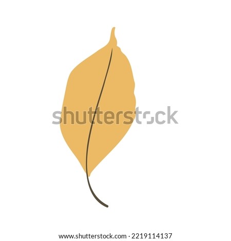 Fall illustrations with leaves, autumn clipart, vector illustration in flat style.