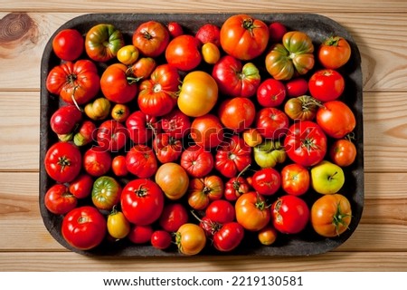 The last autumn harvest of tomatoes of different colors, sizes and ripeness.