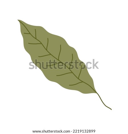 Green bay leaf. Aroma ingredient and seasoning for the dish. Natural healthy food and diet. Vegetarian product. Recipe. Flat vector illustration isolated on white background Royalty-Free Stock Photo #2219132899