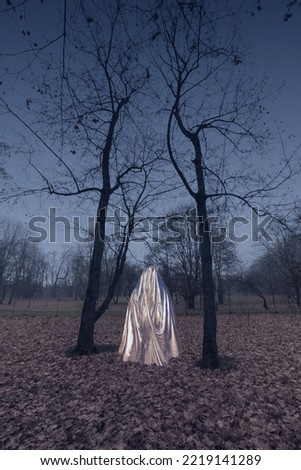 A ghost in a foggy gloomy autumn forest, in an iridescent cloak. Mysticism, Halloween.