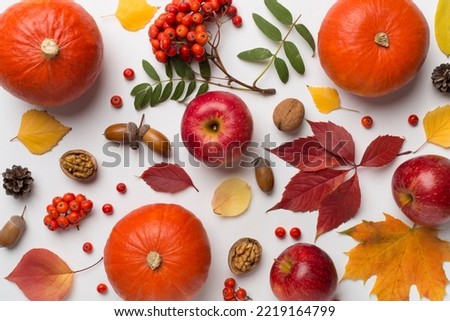 Festive autumn flat lay with pumpkins, berries and leaves on white background, top view.