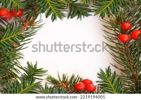  White paper square shaped sheet with fir spruce branches and red berries. Christmas New Year background. Greeting card. Minimal, nature, eco concept. Mockup, space for text.                          