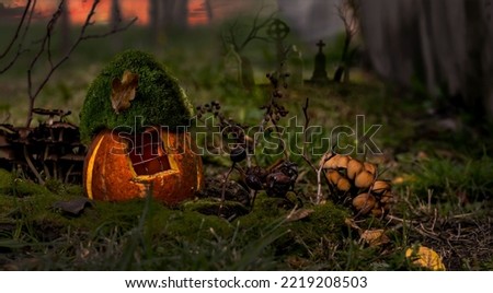 Halloween magic. Night, forest, pumpkin house with light in the window, old cemetery. Charming fairy tale.Halloween photophone.