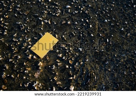 Golden Bank Card Lies On Stone Pier Covered With Water Moraitika, Corfu, Greece. The Concept Of Payment For Nature And Unlimited Possibilities. Copy Space. High quality photo